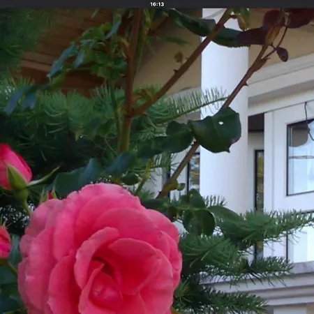 Goldwert Apartman Appartamento
