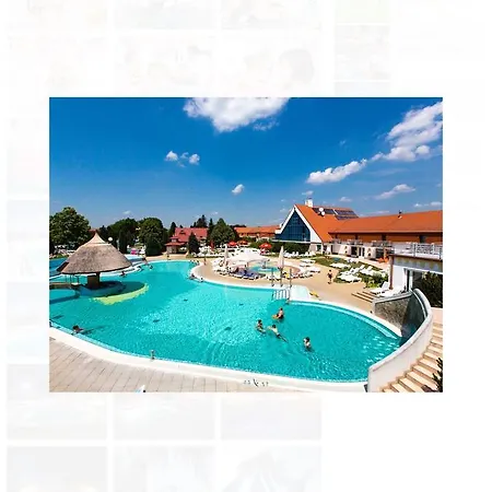 Goldwert Apartman *